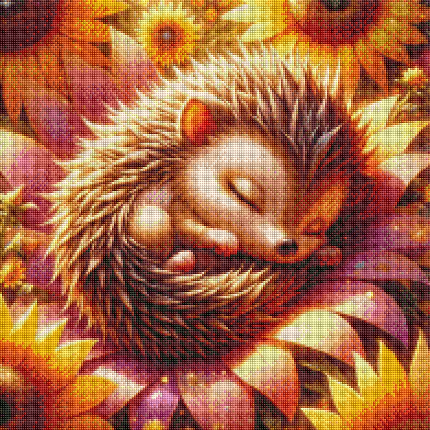 Igel Cosima